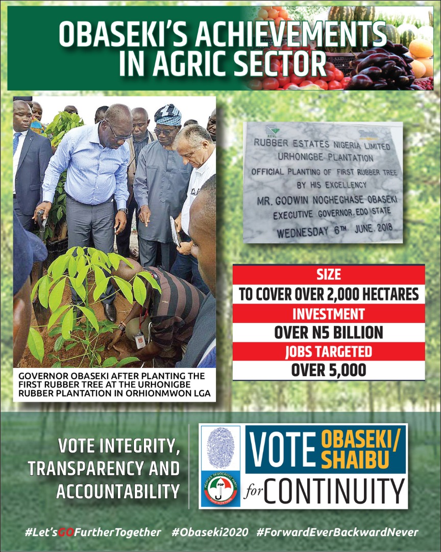 Over 50,000 Persons Benefit From Obaseki’s Agricultural Programmes