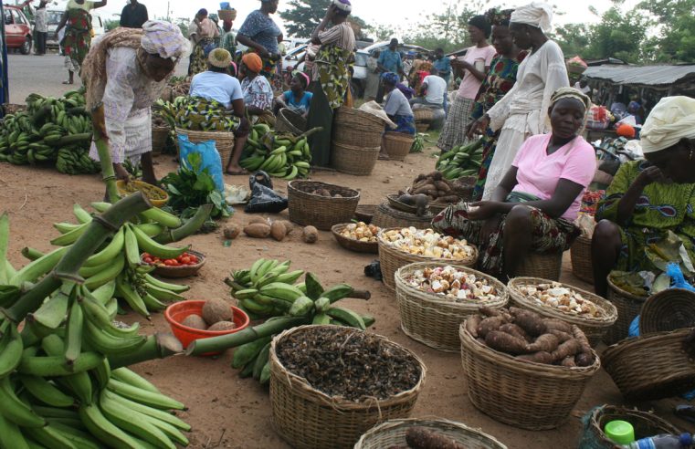 FG Reveal Plans to solve food problems in Nigeria