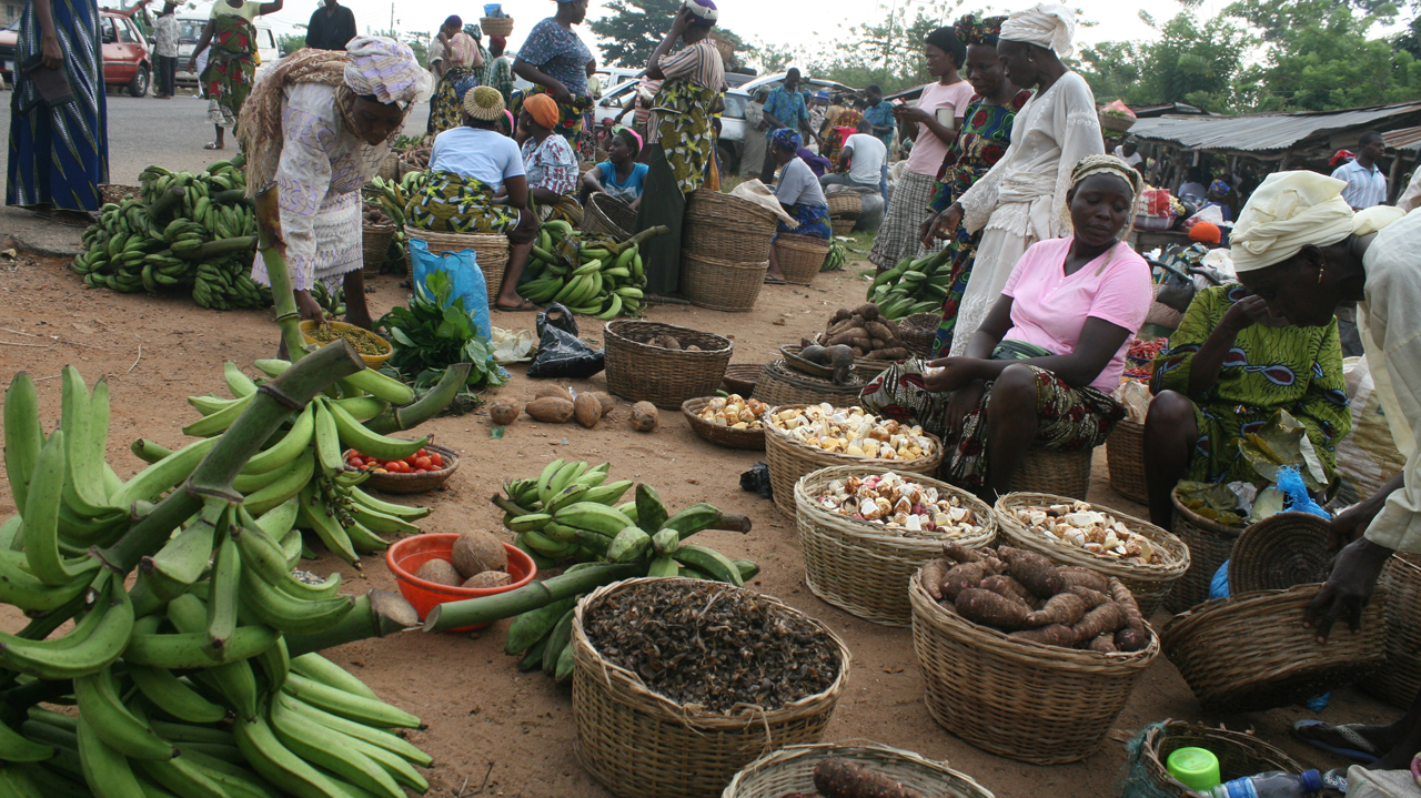 FG Reveal Plans to solve food problems in Nigeria