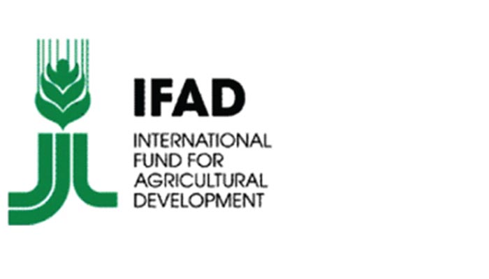 Federal Government and IFAD Launch Women in Agriculture Network in Edo